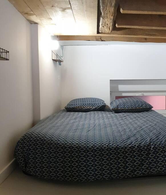 P'Tit Canut : Studio Tout Equipe Proche Centre Et Gare Lyon Dış mekan fotoğraf